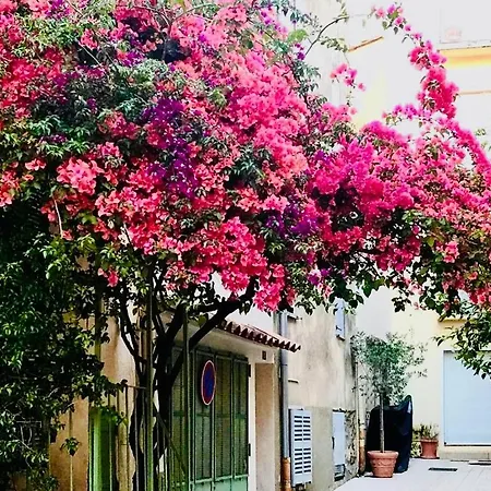 Lejlighed Le Caillou à La Ponche St Tropez Saint-Tropez