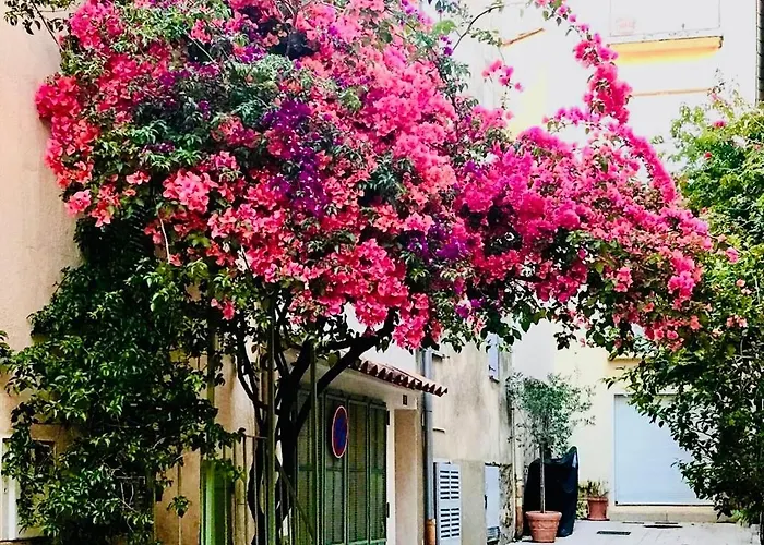 Apartment Le Caillou A La Ponche St Tropez Saint-Tropez